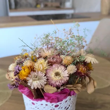 Krpelj * バニャ・ルカ